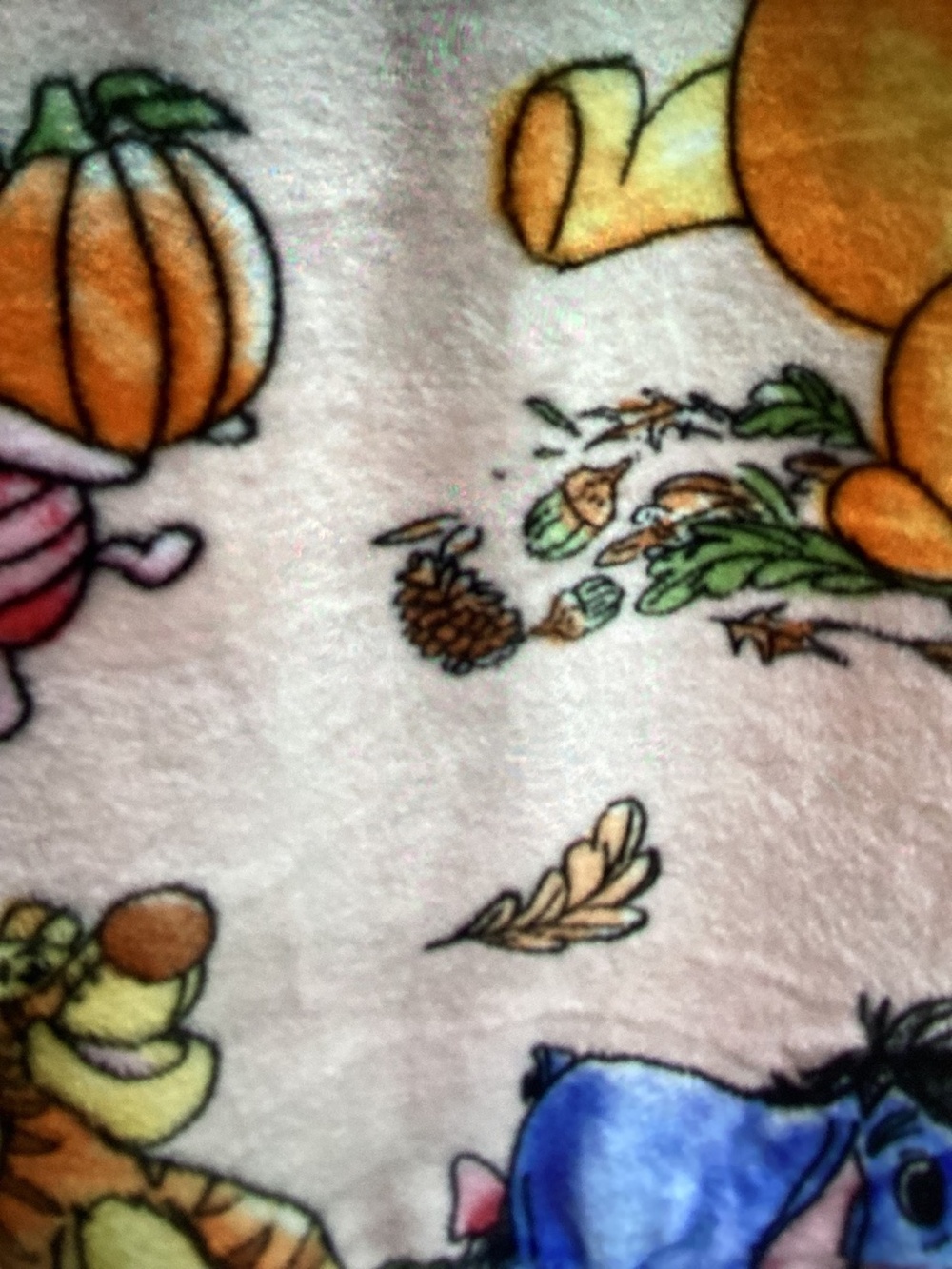New Disney Autumn Winnie the Pooh and Friends Throw 50x70”